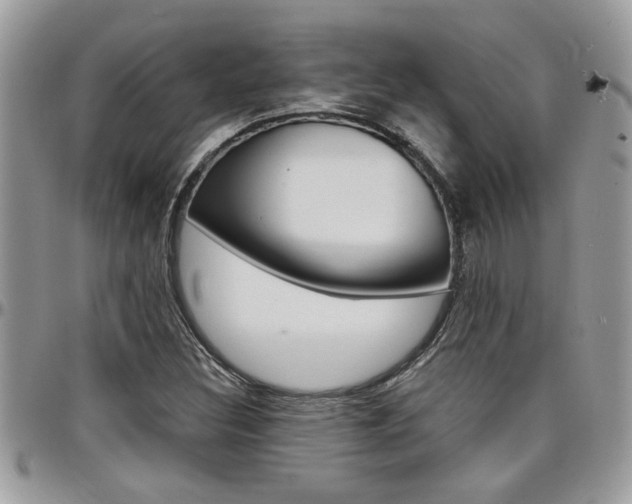 X0000097971308200803241010
