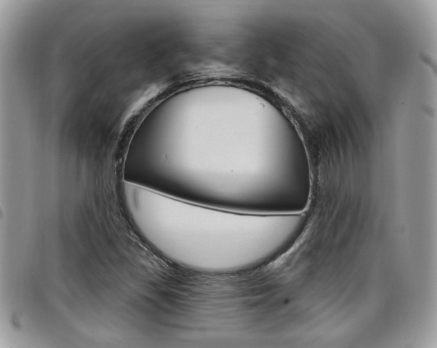 X0000097971309200803241010