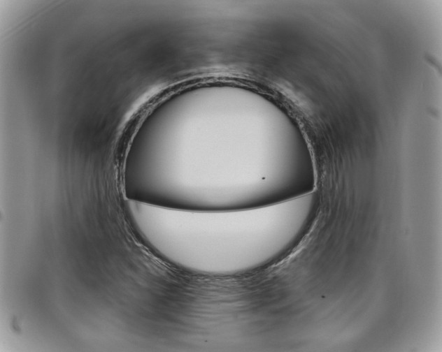 X0000097971310200803241010