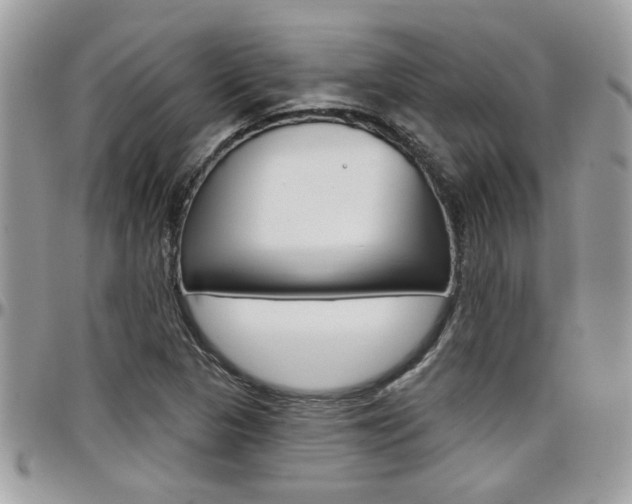 X0000097971313200803241011