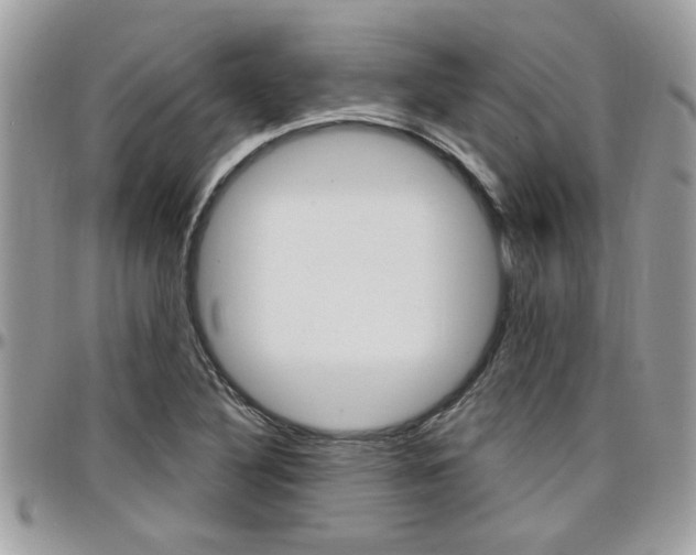 X0000097971316200803241011