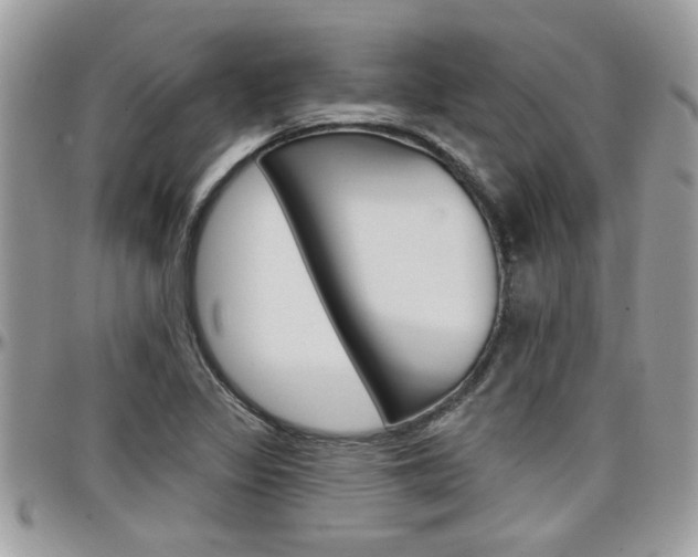 X0000097971317200803241011