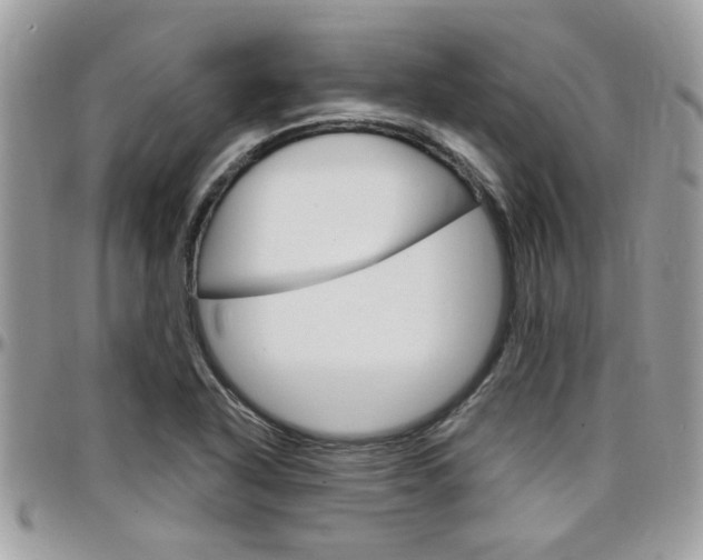 X0000097971318200803241011