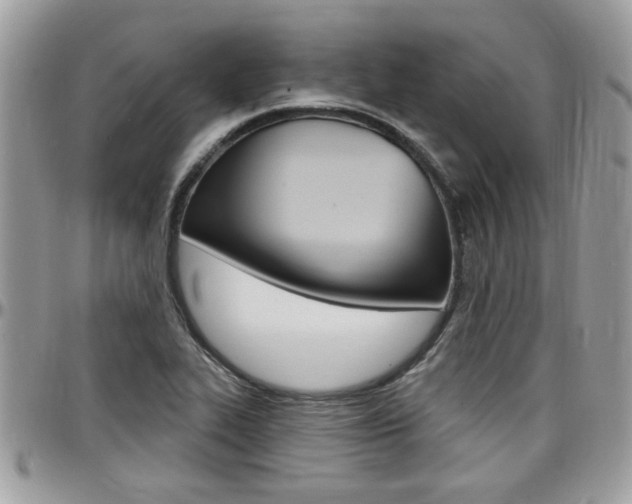 X0000097971319200803241011
