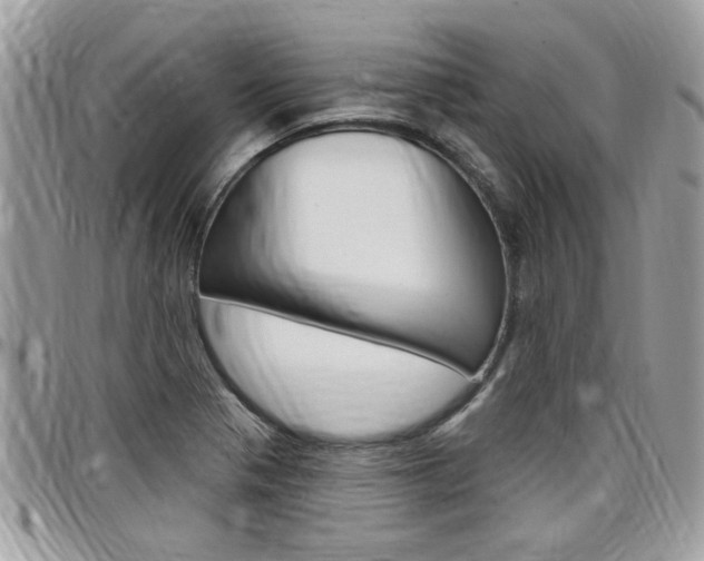 X0000097971321200803241011