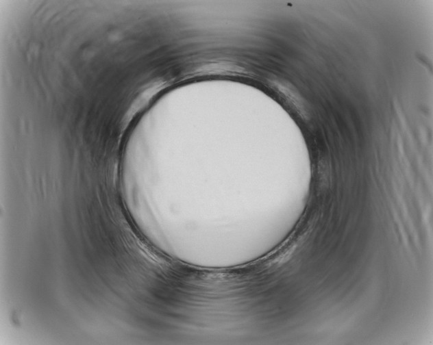 X0000097971322200803241011