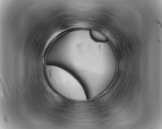 X0000097971323200803241011