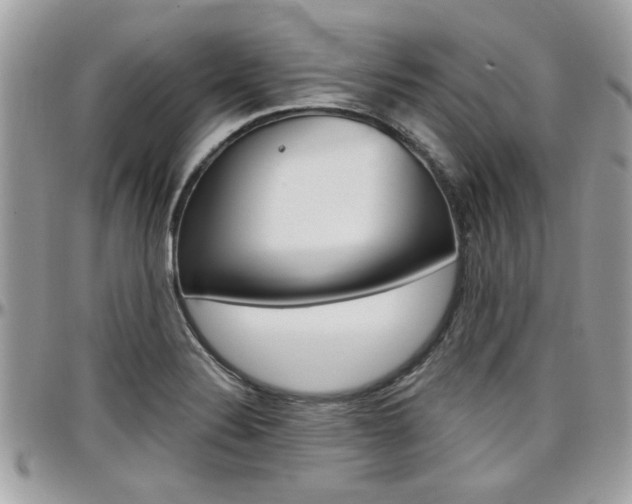 X0000097971324200803241011