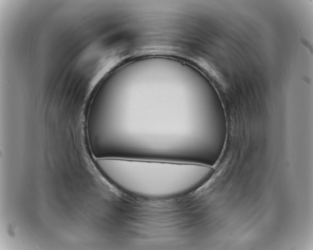 X0000097971325200803241011