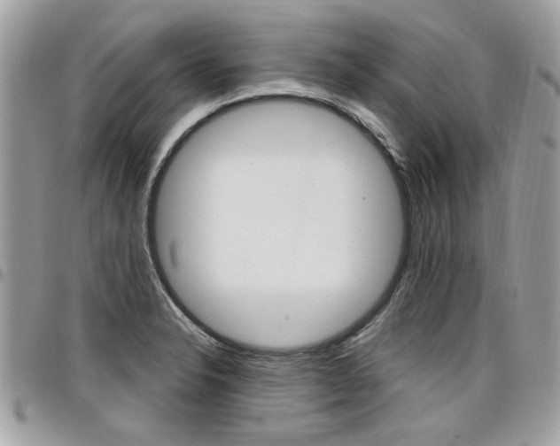 X0000097971326200803241011