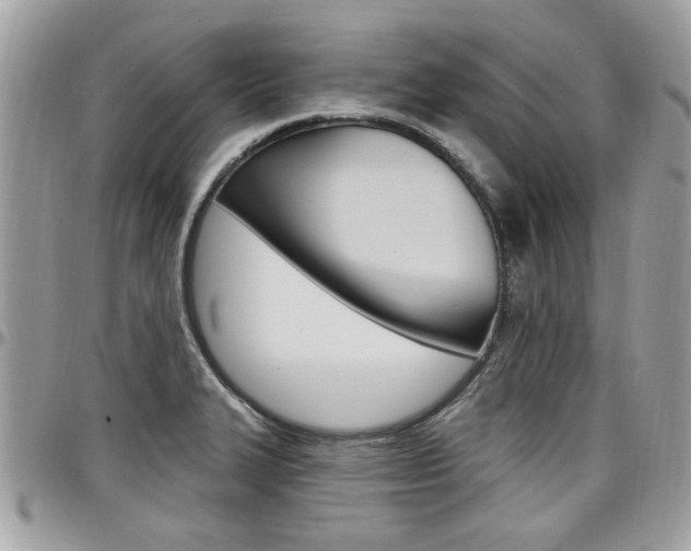 X0000097971327200803241011