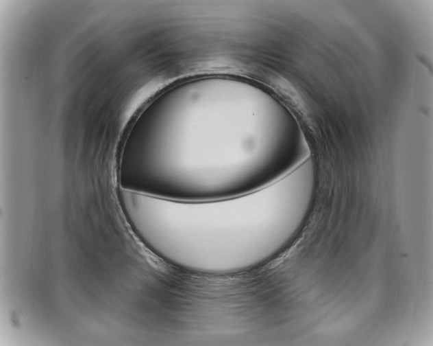 X0000097971328200803241011