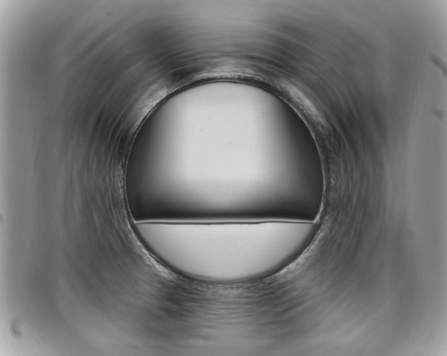 X0000097971329200803241011