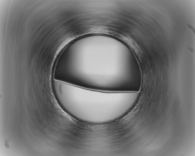 X0000097971331200803241011
