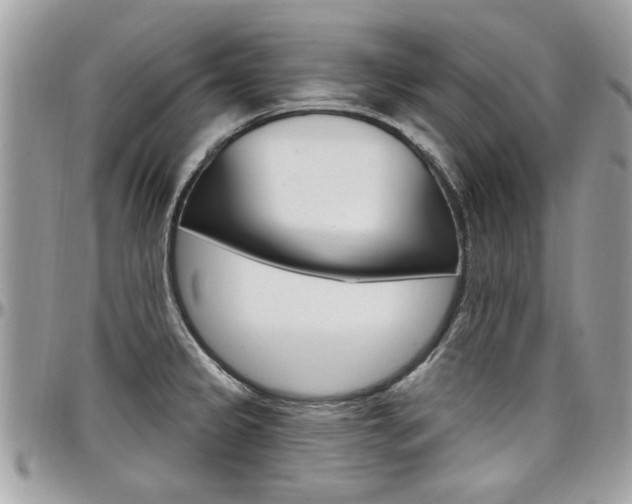 X0000097971333200803241011