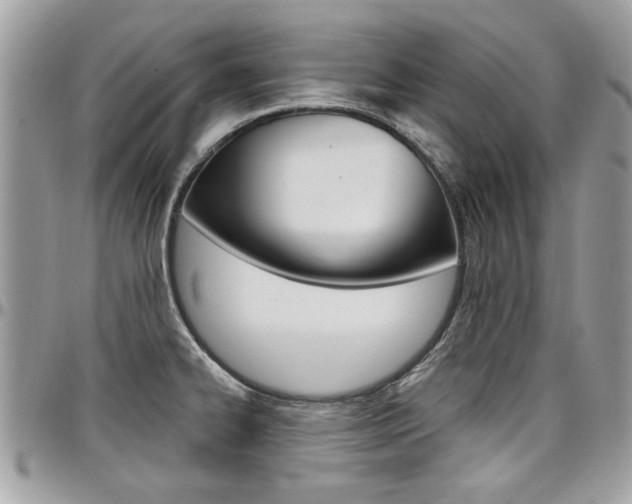 X0000097971334200803241011