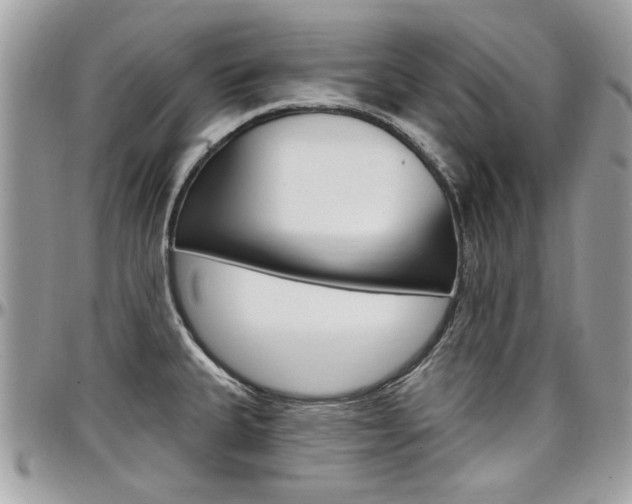 X0000097971335200803241011