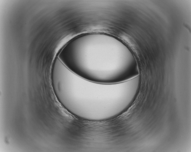 X0000097971336200803241011