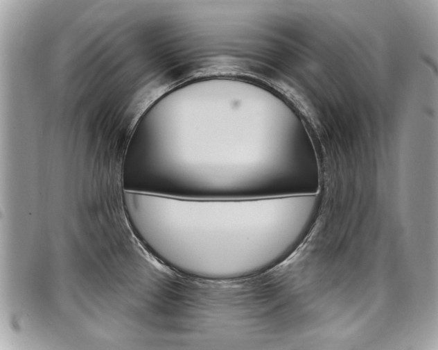 X0000097971337200803241011