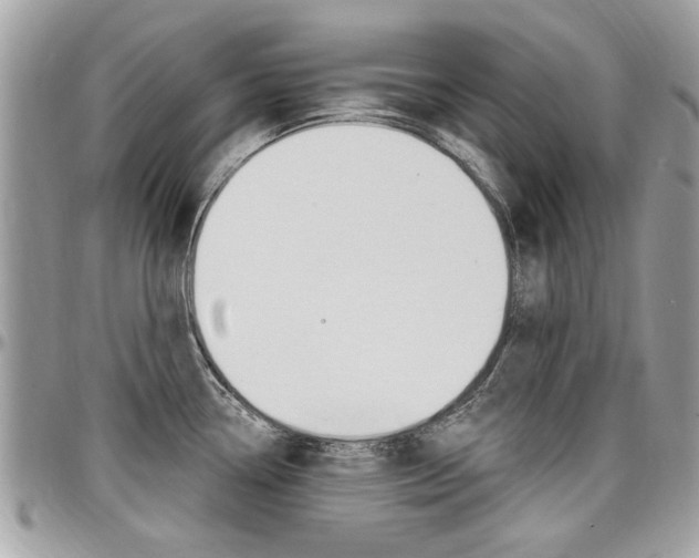 X0000097971338200803241011