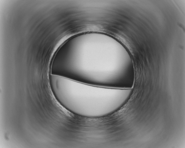 X0000097971339200803241011