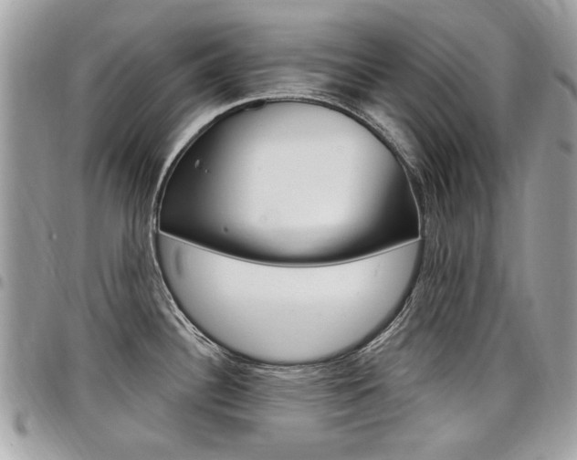 X0000097971340200803241011