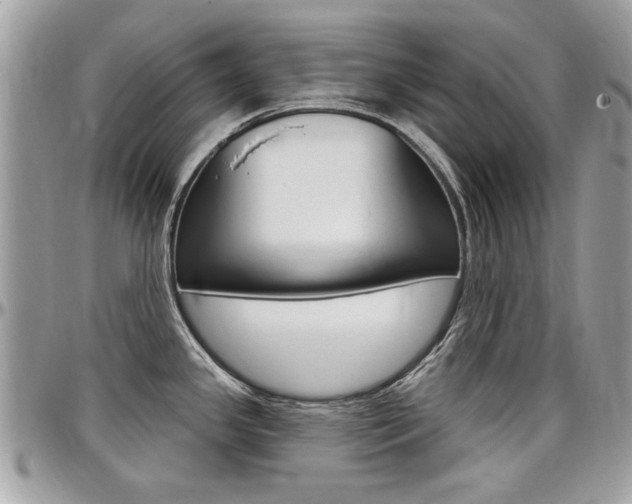 X0000097971341200803241011