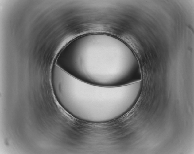 X0000097971342200803241011