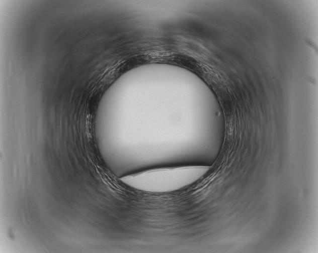 X0000097971346200803241010