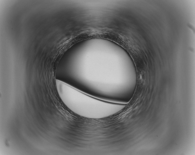 X0000097971348200803241010