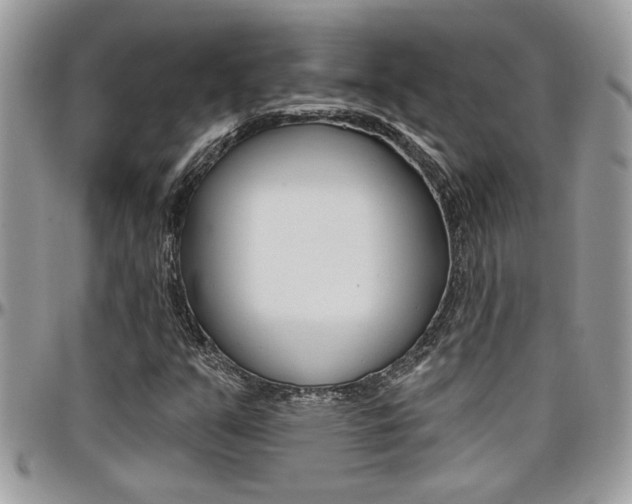 X0000097971351200803241010