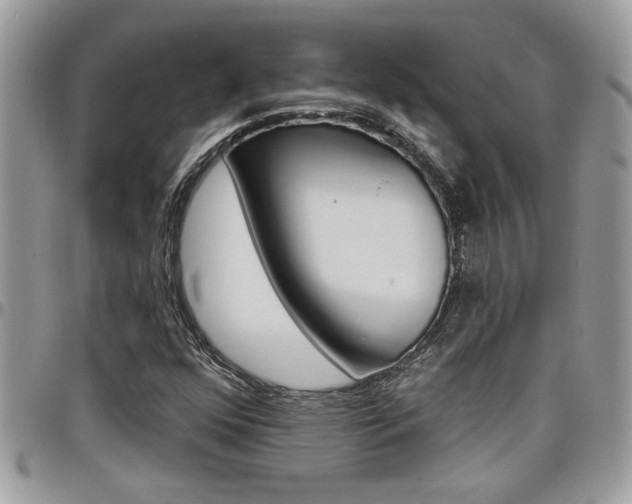 X0000097971352200803241010