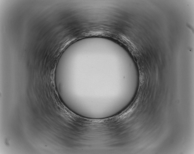 X0000097971353200803241010