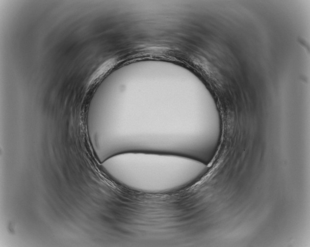 X0000097971354200803241010