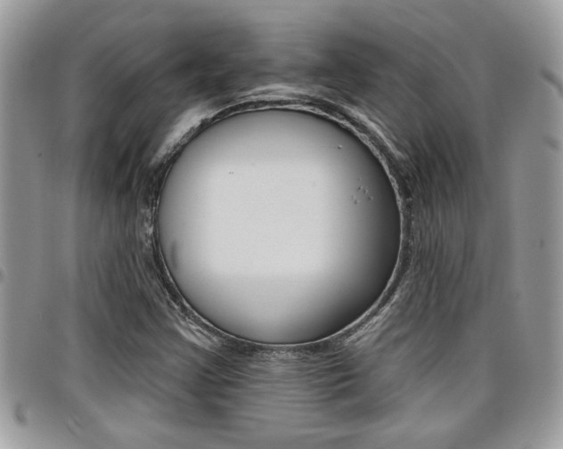 X0000097971355200803241010