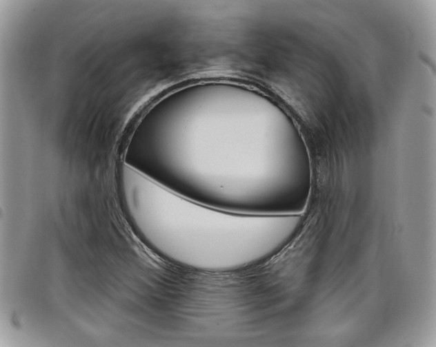 X0000097971356200803241010