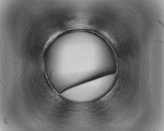 X0000097971358200803241010