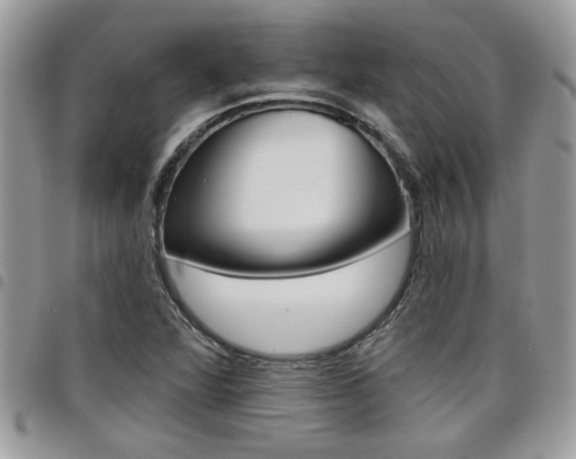 X0000097971360200803241010