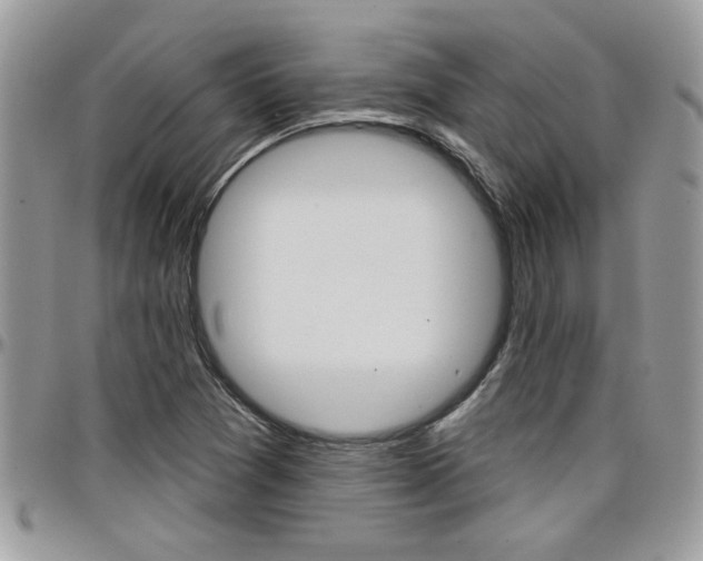 X0000097971361200803241010