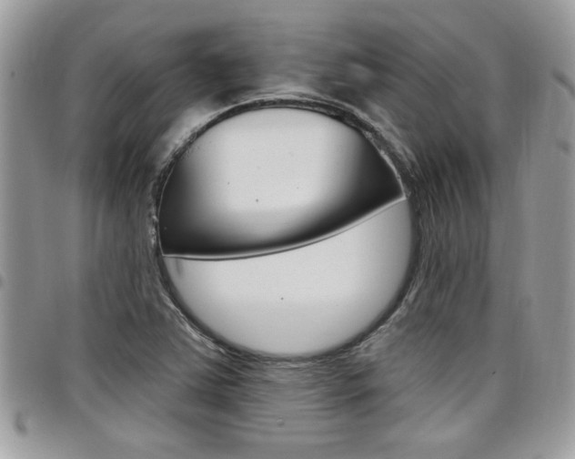 X0000097971363200803241010