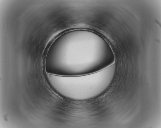 X0000097971364200803241010