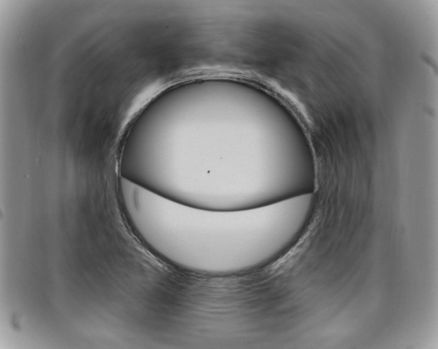 X0000097971365200803241010