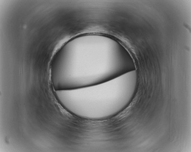 X0000097971366200803241010