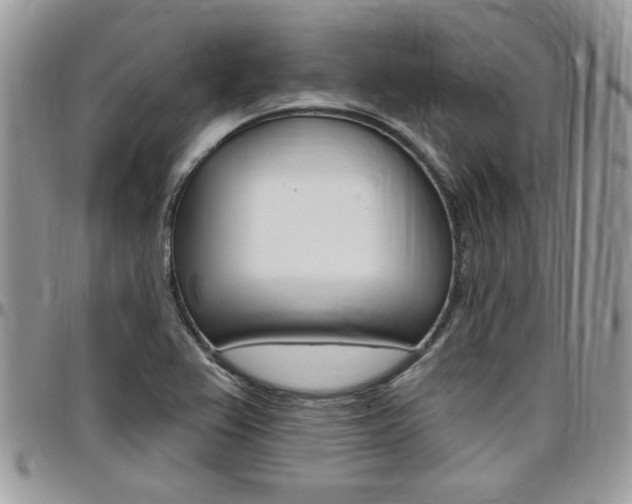 X0000097971367200803241010