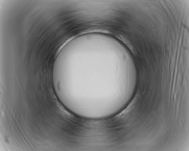 X0000097971369200803241010