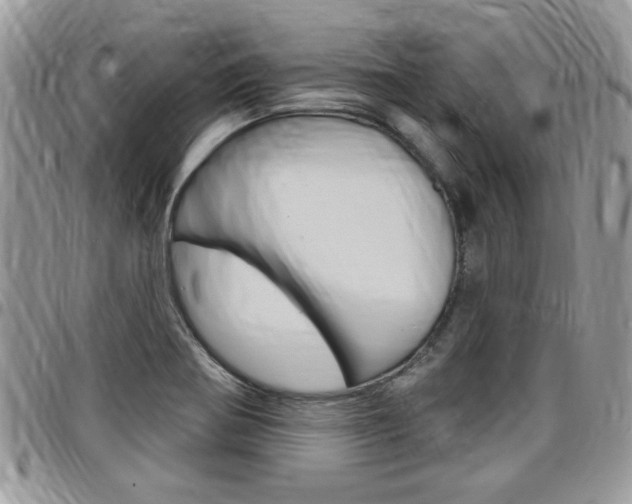 X0000097971370200803241010
