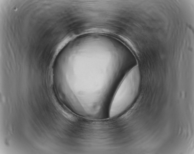 X0000097971371200803241010