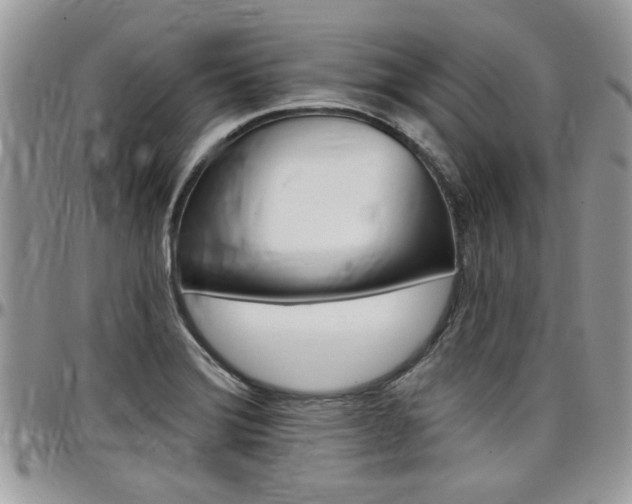X0000097971372200803241010
