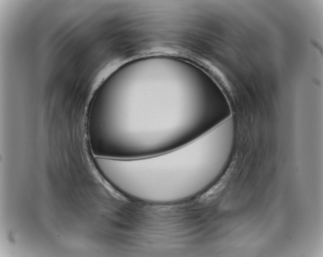 X0000097971373200803241010