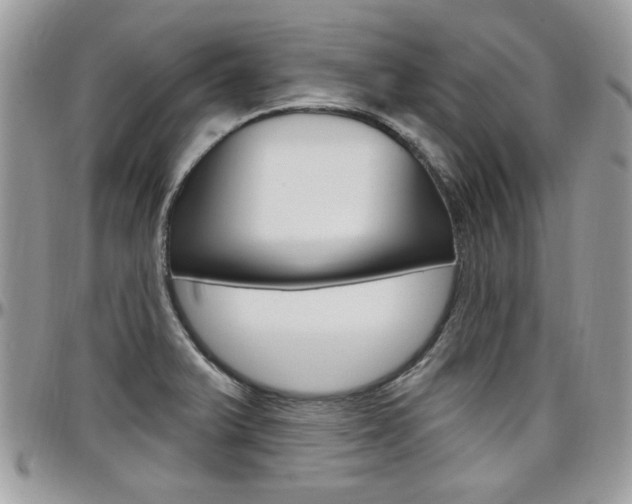 X0000097971375200803241010